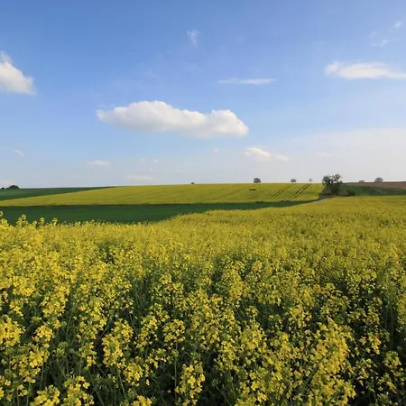 Gastehaus Simon Kapellen-Drusweiler