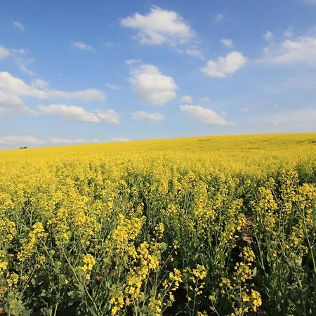 Gastehaus Simon Kapellen-Drusweiler