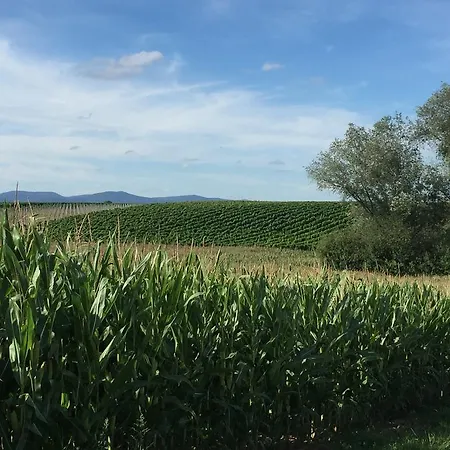 Gastehaus Simon Lejlighed Kapellen-Drusweiler