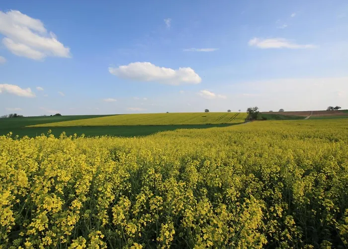 Haus Sonnengarten Kapellen-Drusweiler