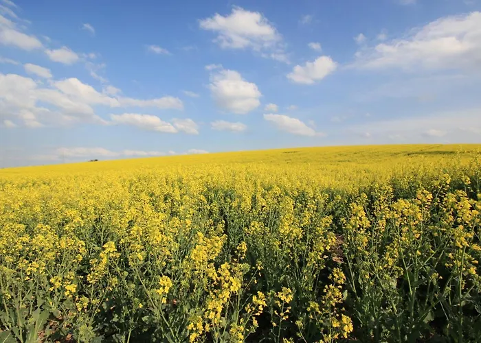 Haus Sonnengarten Kapellen-Drusweiler