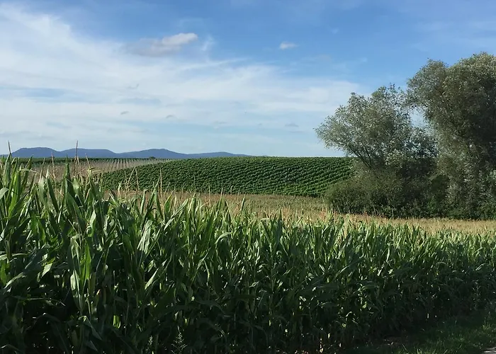 Haus Sonnengarten Apartamento Kapellen-Drusweiler
